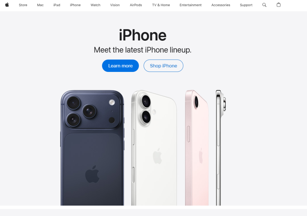 website example
